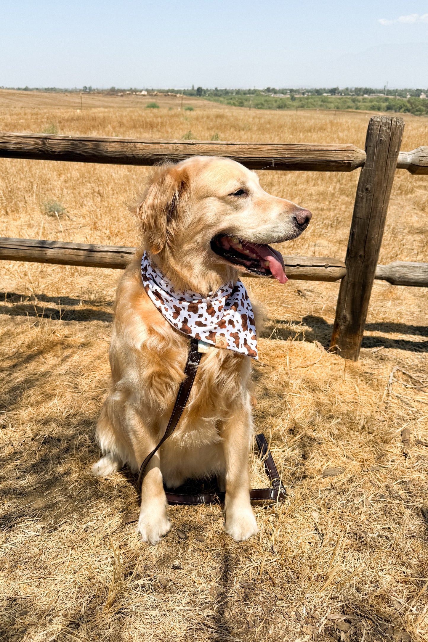 Boots In The Park