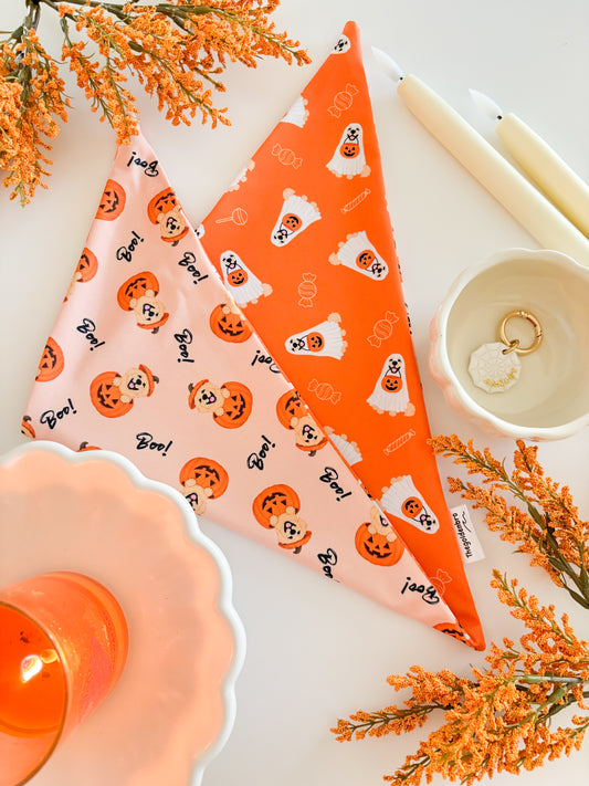 Trick Or Treat