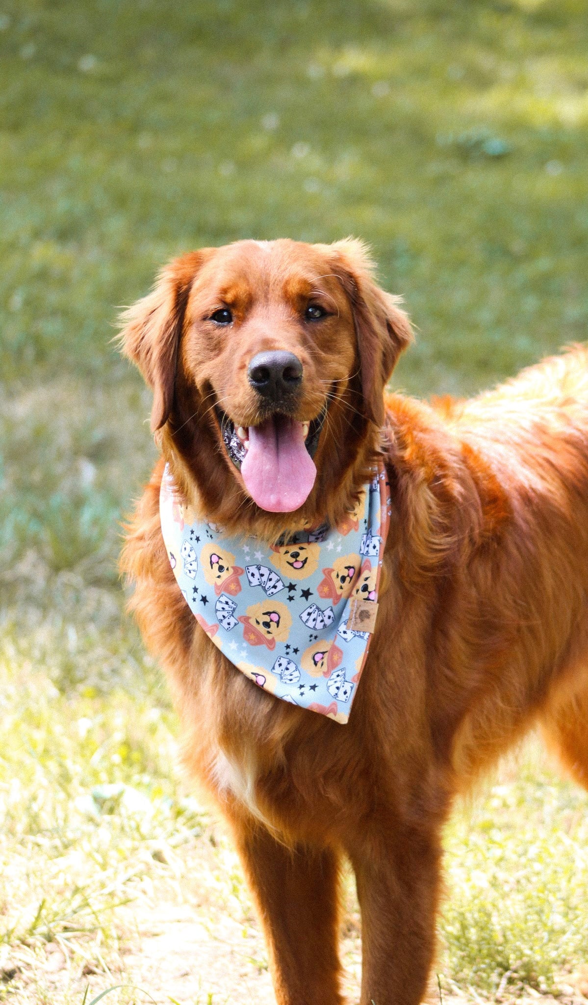 Country Pup