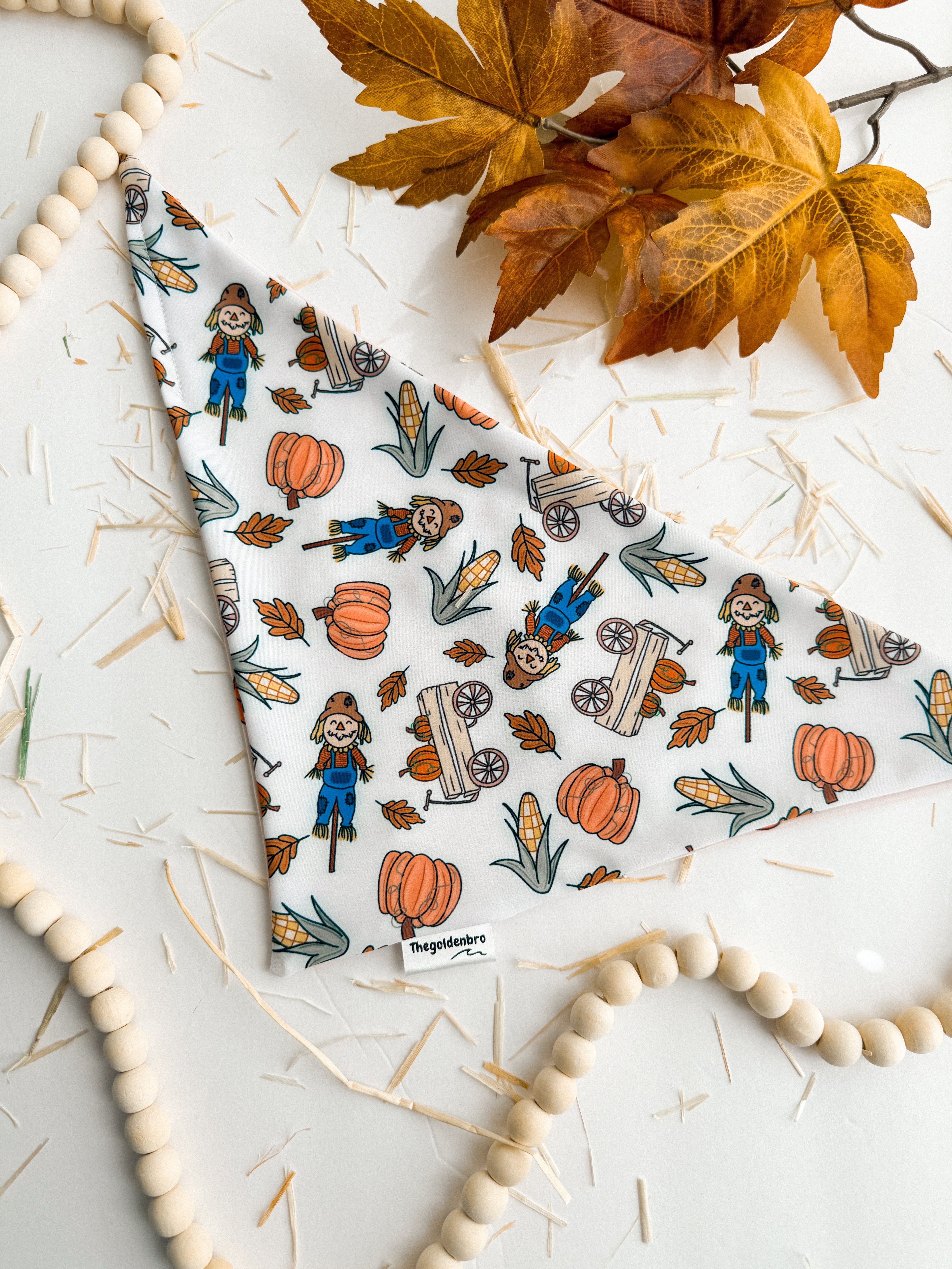 Pumpkin Patch