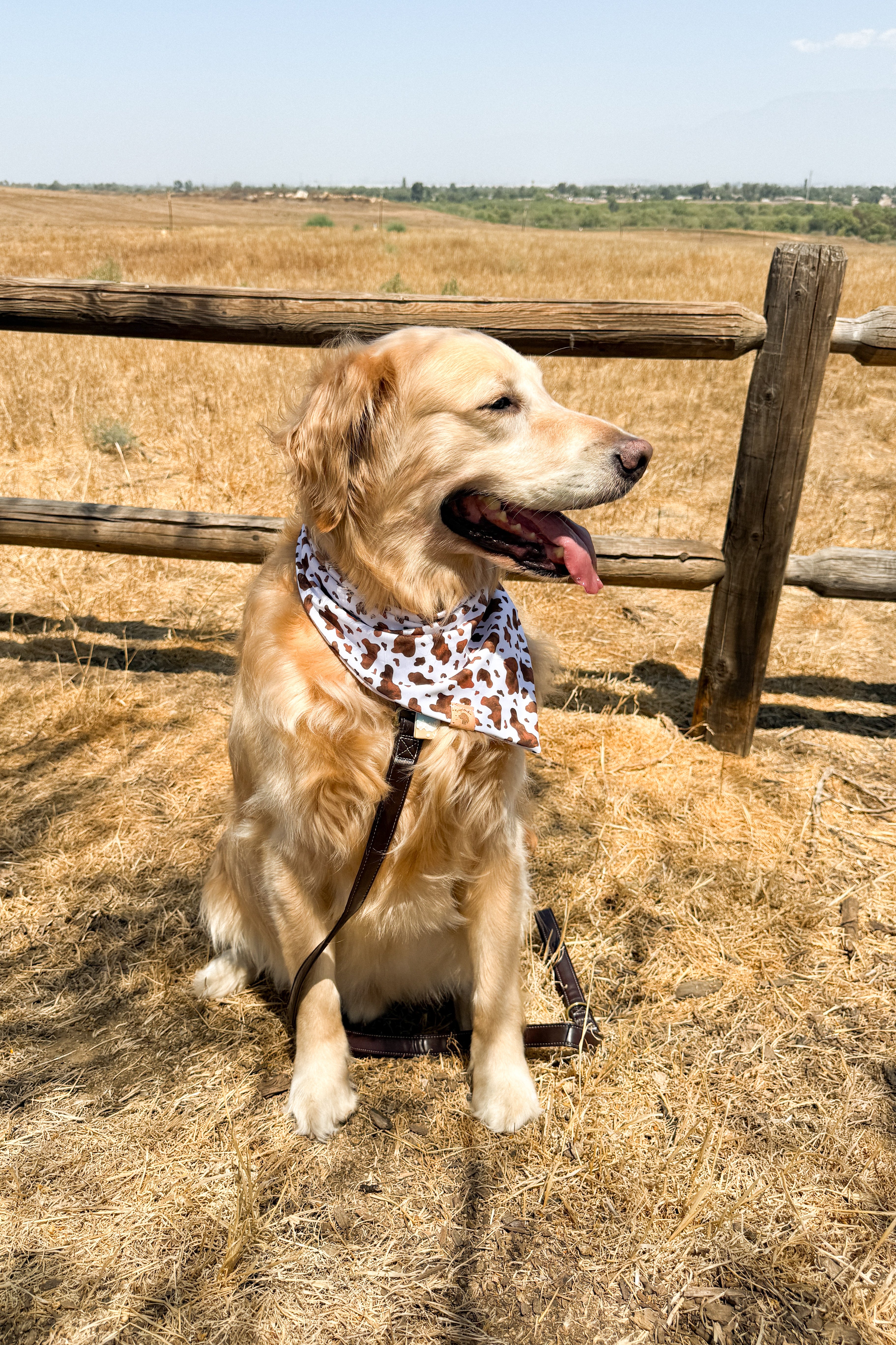 Boots In The Park