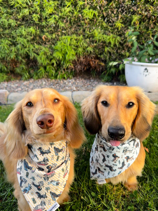 USA weenie!