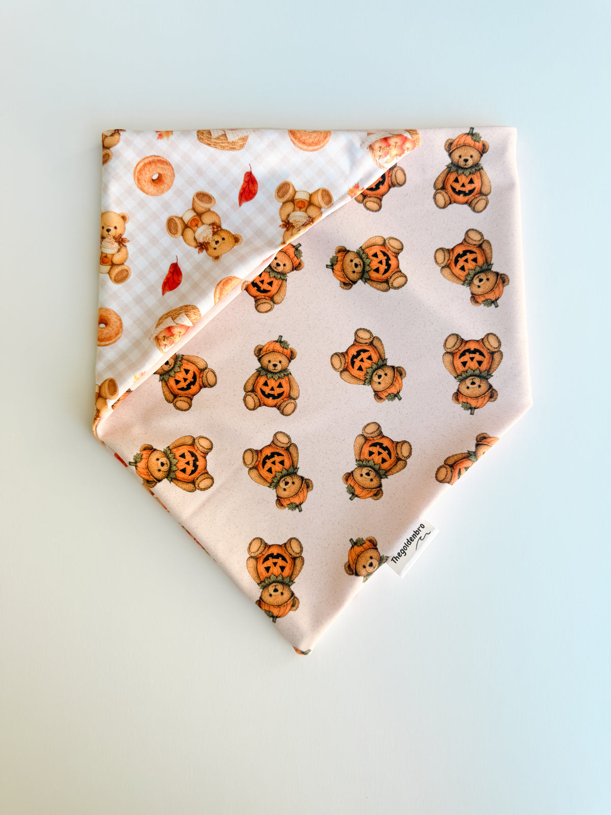 Autumn Teddy