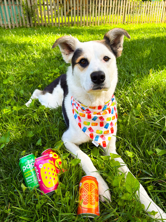 Summer Sips