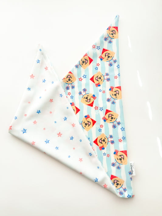 Pawty In The USA