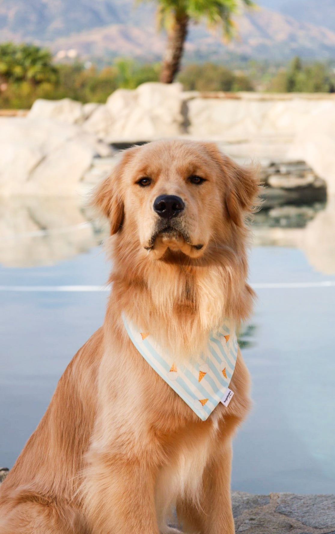 Products – Thegoldenbro
