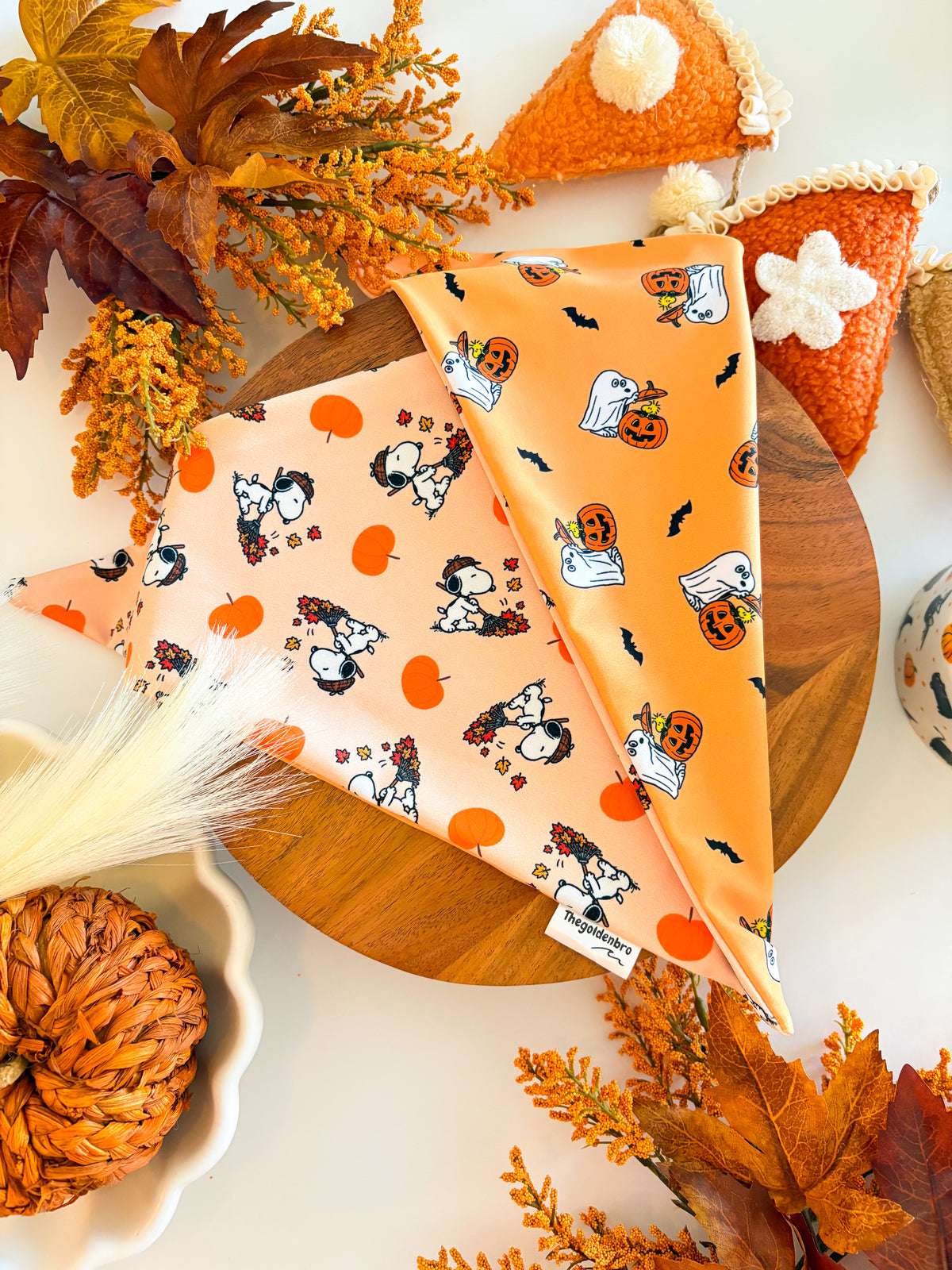 Pumpkin Pals