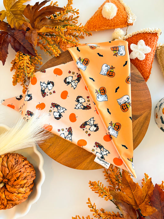 Pumpkin Pals